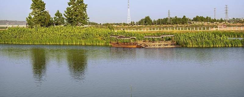 宾阳湿地公园在哪里（宾阳湿地公园占地多少亩）
