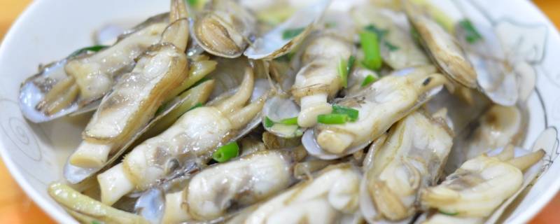 蛏子怎么读 蛏怎么读音