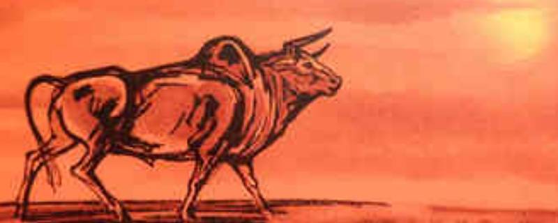 关于牛年的文字（关于牛年的文字图片）