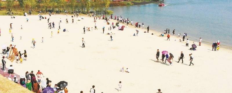 池州网红沙滩在哪里 池州网红沙滩在那里