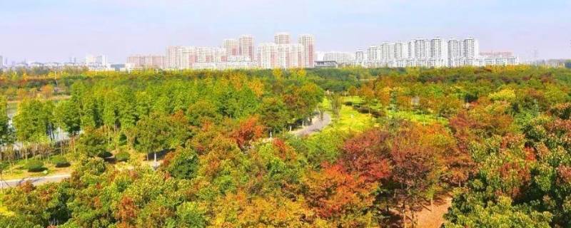 城东公园在哪里 城东公园地址
