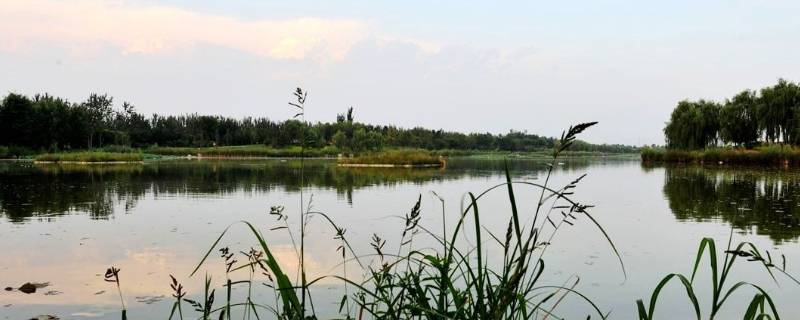 驻马店湿地公园在哪里 驻马店湿地公园在哪里建