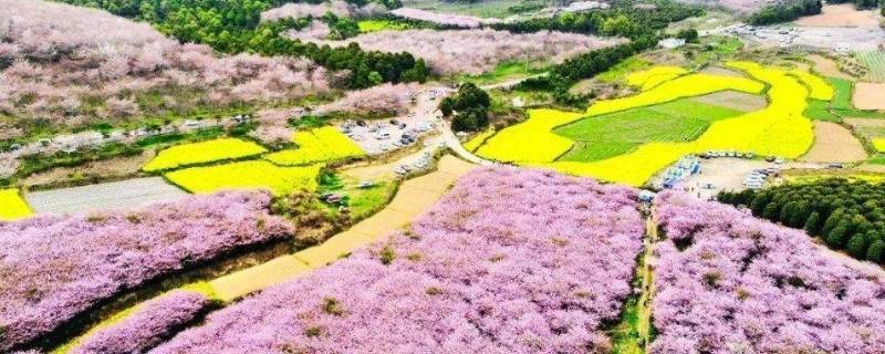 贵州平坝在哪个位置 平坝属于贵州哪个地区