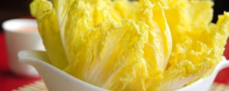 娃娃菜怎么切（娃娃菜怎么切成丝）