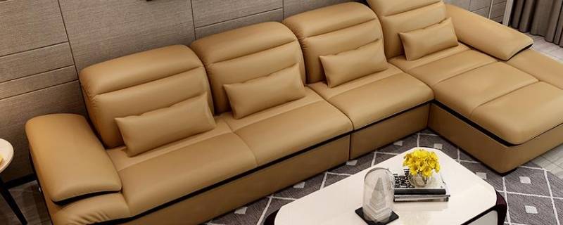 妙招除皮沙发上染发剂（沙发皮染上染发剂怎么祛除）