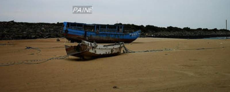 1981年沙漠里发现船在哪里 1981年在沙漠中发现大船