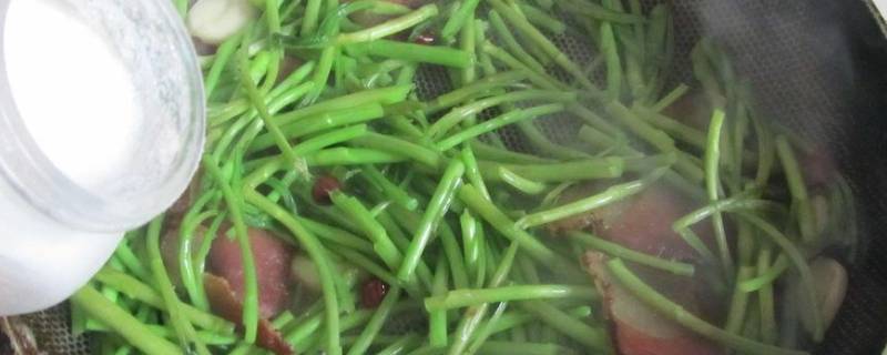 泥蒿怎么保存长久（泥蒿怎么保存长久不变质）