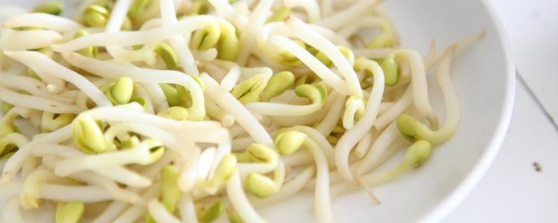 立春吃哪种菜（立春吃哪种菜比较好）