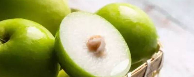 牛奶枣不甜怎么回事 牛奶枣不甜怎么回事儿