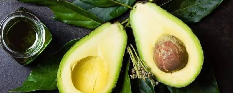 牛油果催熟的方法（牛油果催熟方法冷库）