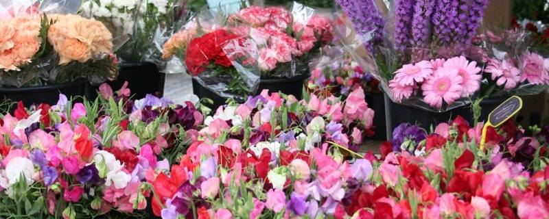 网上买的鲜花怎么醒（网上买的鲜花如何醒）