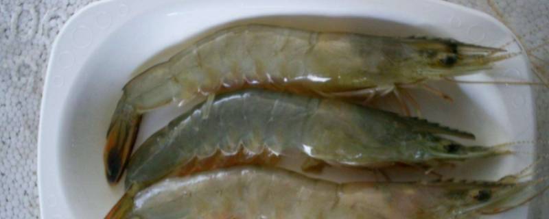 虾3040规格是什么意思 盐冻虾3040规格是什么意思