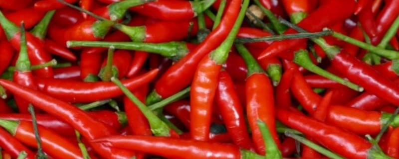 红尖辣椒怎么炒（红尖辣椒怎么炒好吃）