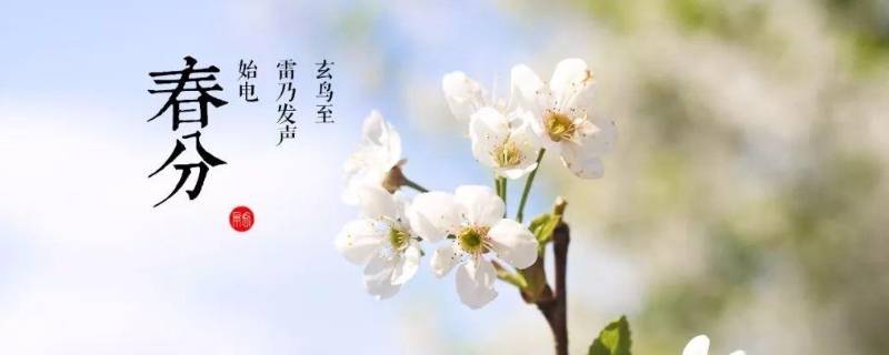 春分的由来 春分的由来和故事