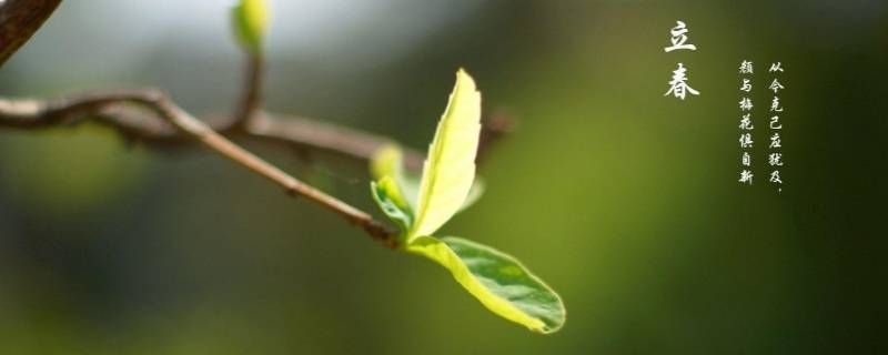 打春和立春有什么区别（立春为什么叫打春?打春有什么讲究?）