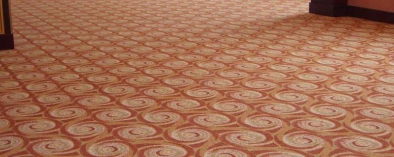 地毯怎么洗 地毯怎么清洗方便省事