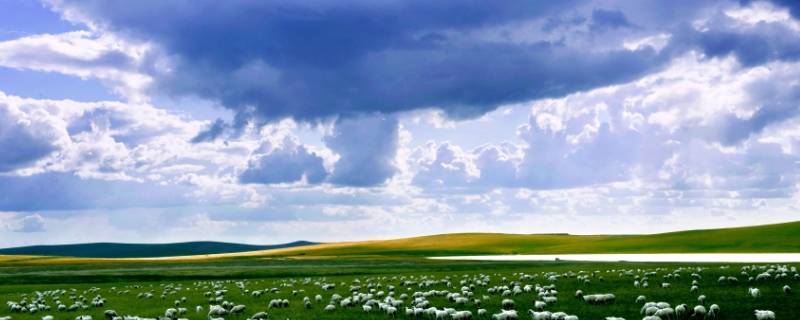 草原的由来 草原的历史