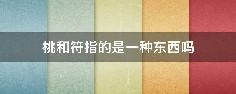 桃和符指的是一种东西吗（桃和符是指一种东西吗?）