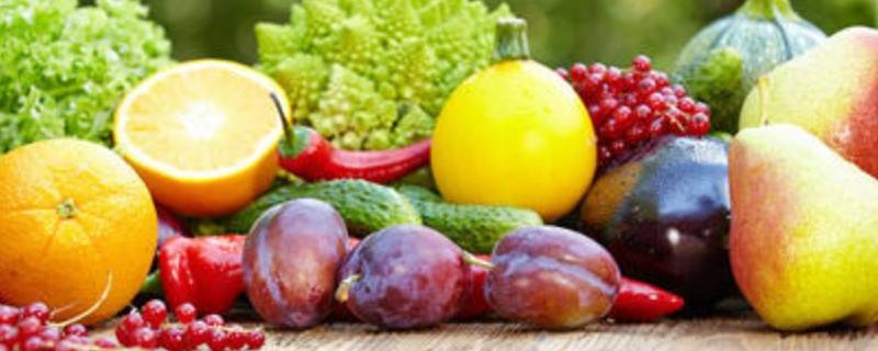 冬季应季水果和蔬菜（秋冬应季水果蔬菜）