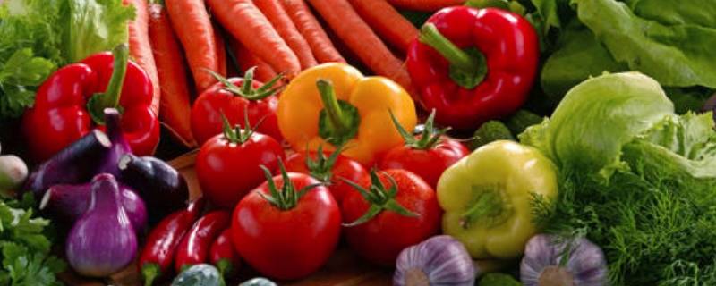 常见的蔬菜 常见的蔬菜名字大全