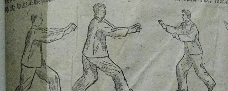 五禽是哪五畜（五禽有什么）