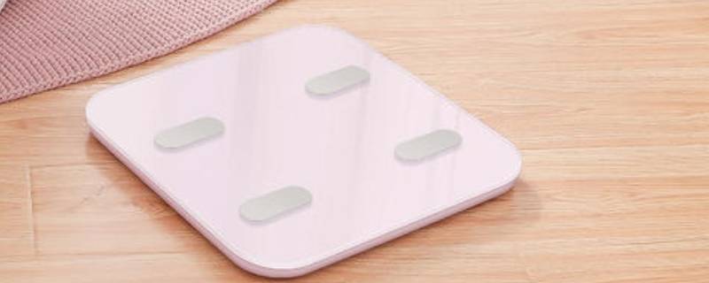 体脂秤可以称体重吗 体脂秤可以称重量吗