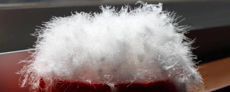 90羽绒服是什么意思 90羽绒的意思