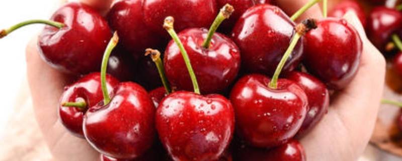 车厘子在冰箱里可以放几天 车厘子能放冰箱几天