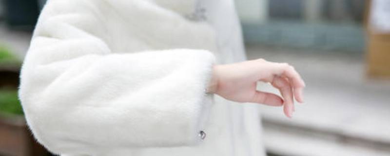 貂皮脏了自己怎么处理 貂皮脏了自己怎么处理干净