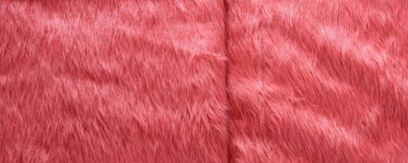 丹麦貂绒是什么材质 丹麦貂绒是什么材质做成的