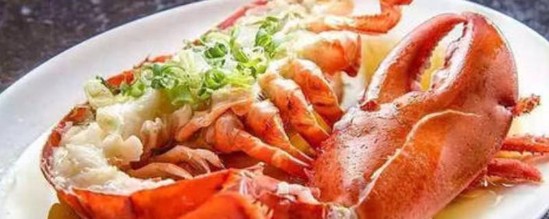 波士顿龙虾能活多久（波士顿龙虾能活多久死了能吃吗）