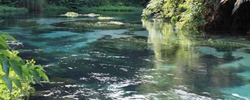 淡水资源包括哪些 淡水资源包括哪些地区