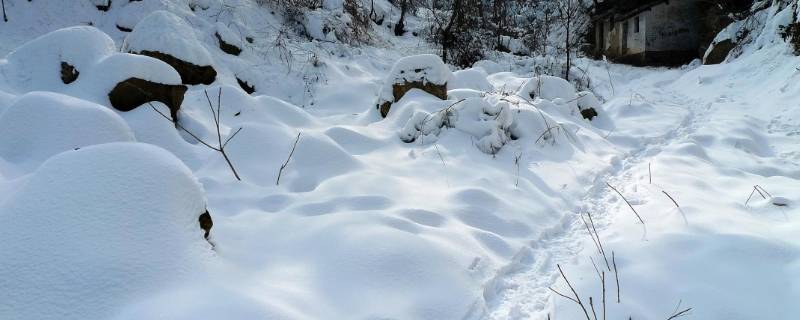 象征冬天的东西有哪些（有什么东西是象征冬天的）