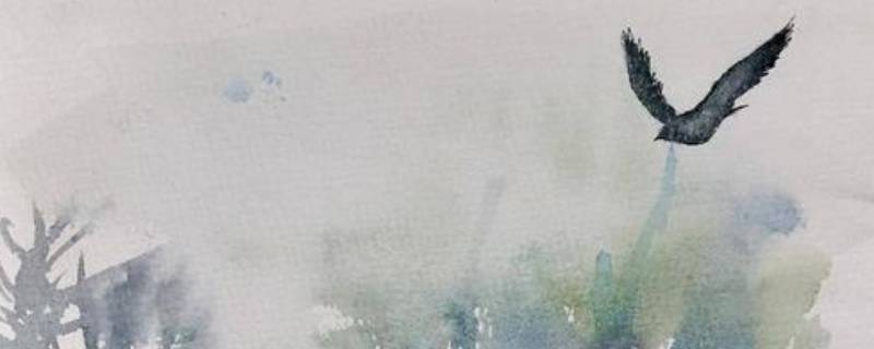 无脚鸟的寓意是什么 无脚的鸟的寓意是什么