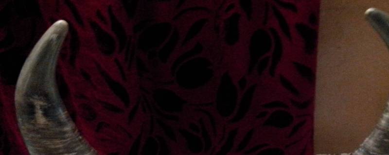 牛角有裂纹了能修复了吗 牛角有裂纹了能修复了吗视频