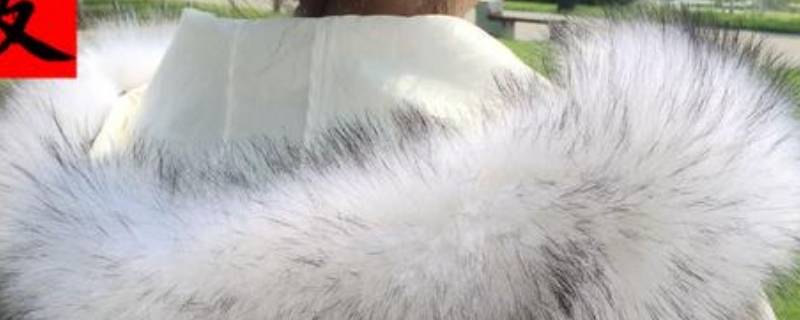 貉子毛领能不能水洗 貉子毛外套可以直接水洗吗