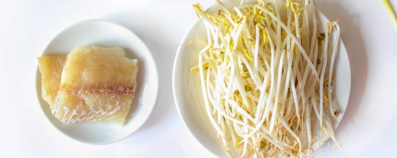 绿豆芽可以长多高（绿豆芽可以长多高图片）