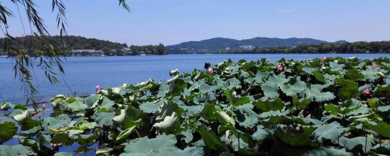 昭德县在哪（昭德县志）