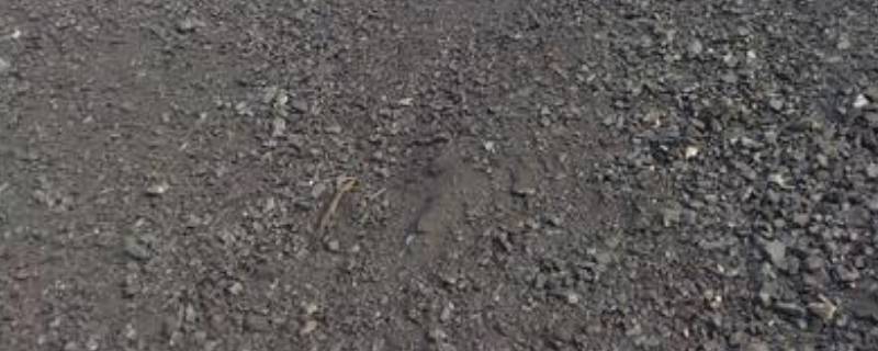 电煤是什么煤 电煤5000大卡多少钱一吨