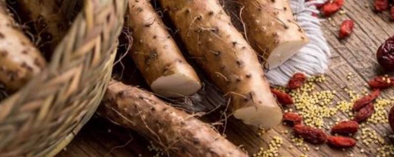 山药可以放多久 山药可以放多久不会坏