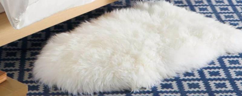 一整块羊毛皮怎么洗（整张羊毛皮怎么清洗）