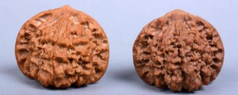 文玩核桃底部能抠掉吗（文玩核桃底部掏空了怎么办）