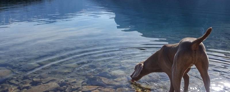 水加什么不会结冰 水加什么不容易结冰