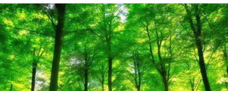 绿的颜色有哪些（绿的颜色有哪些绿）