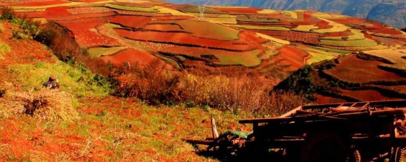 东川省是哪里 东川省哪里拍的