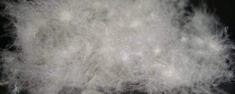 90白鸭绒和95白鸭绒的区别 90白鸭绒和95白鸭绒的区别是什么