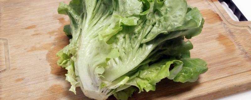 玻璃菜是什么菜 玻璃菜是什么菜做的