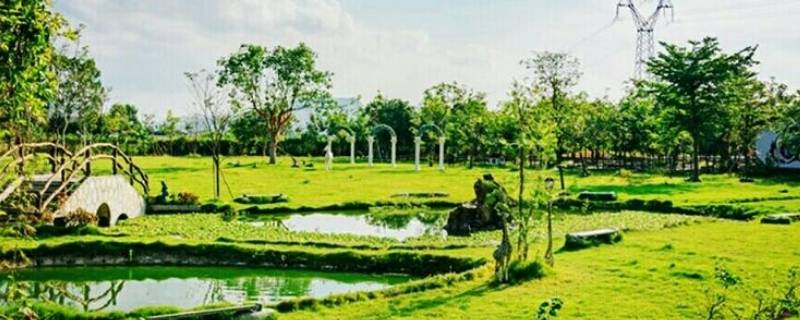 亚维浓生态园在哪里 亚维浓生态园门票价格多少钱