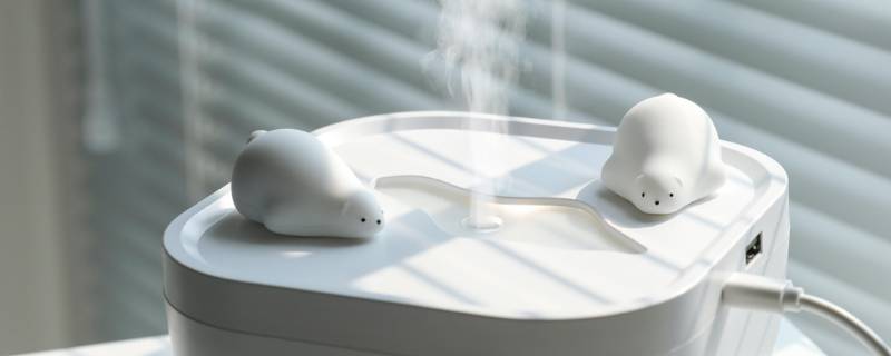 开暖气要开加湿器吗 开暖气要开加湿器吗夏天