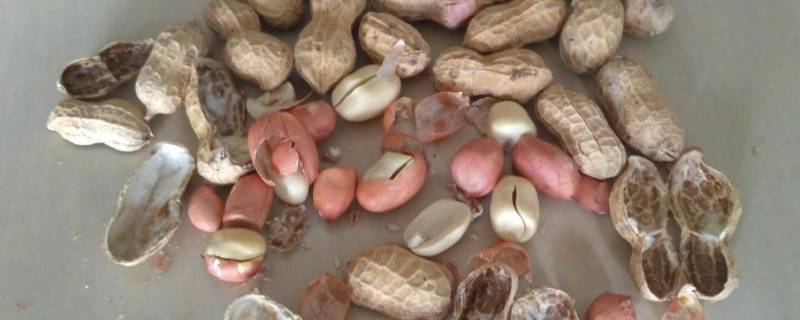 盐可以代替沙子炒花生吗 盐可以代替沙子炒花生吗为什么